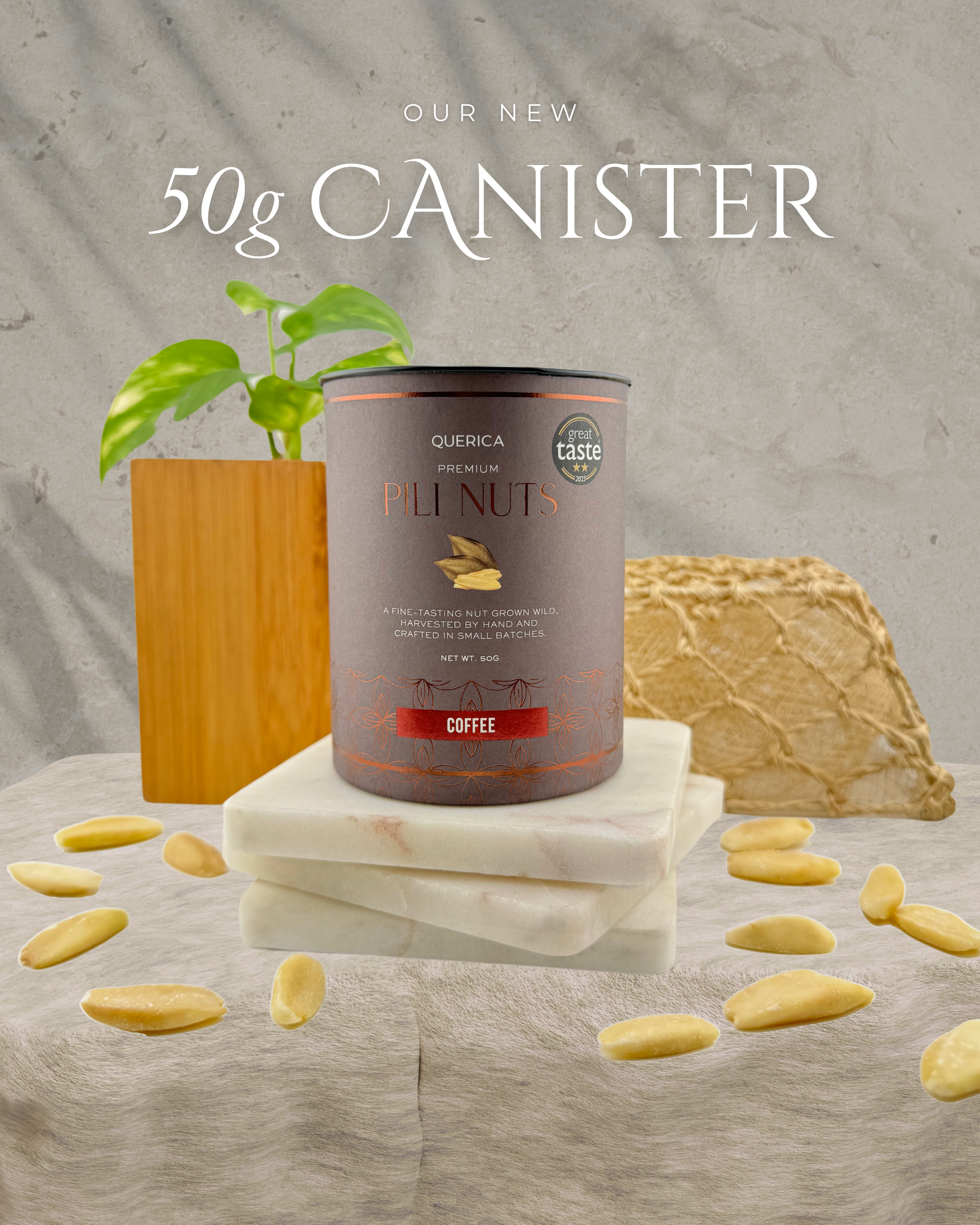 Pili Nuts - Coffee 50g Canister