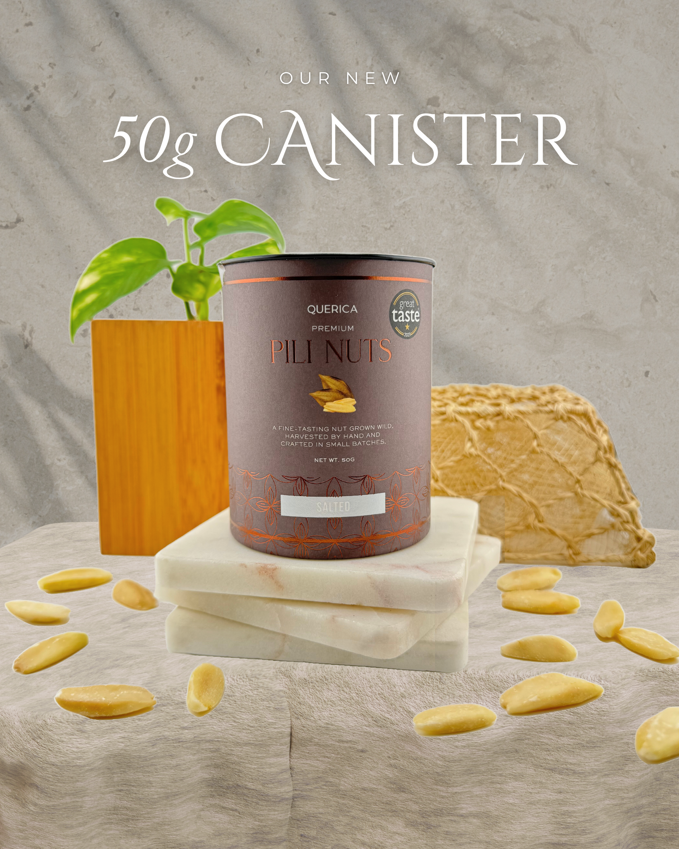 Pili Nuts - Salted 50g Canister