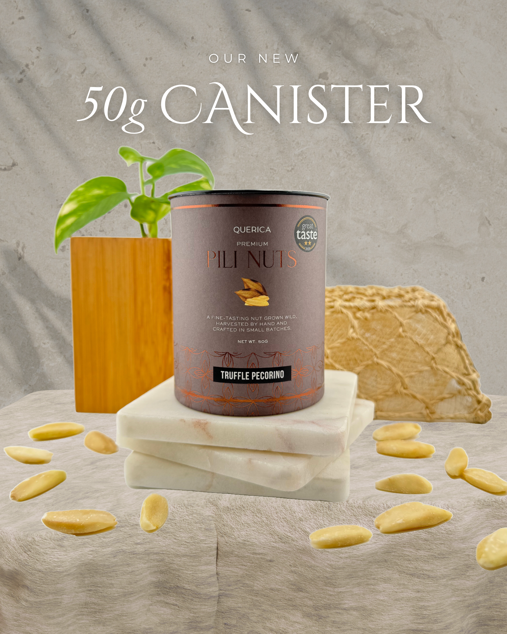 Pili Nuts - Truffle Pecorino 50g Canister